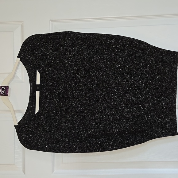 Ann Taylor Tops - 517. Ann Taylor Sparkly Sleeveless Top Size XS